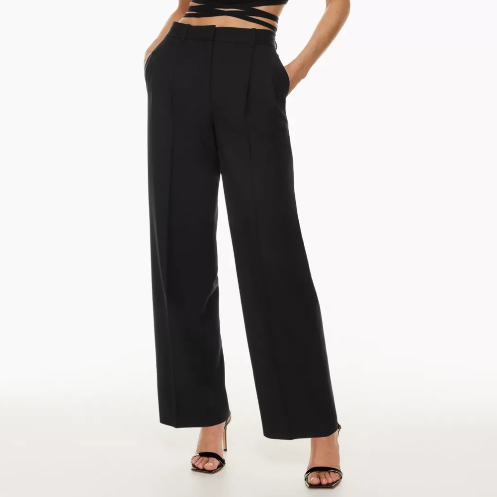Aritzia Babaton Pleated Pants